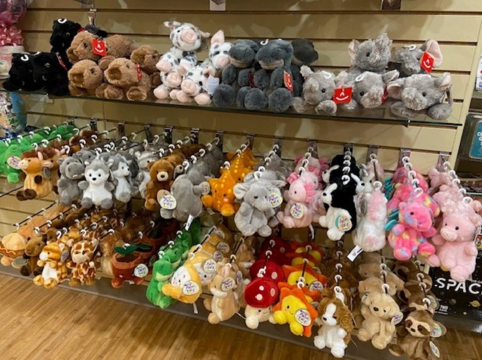 Check out our Zoo of Palm Pals at the Gift Shop