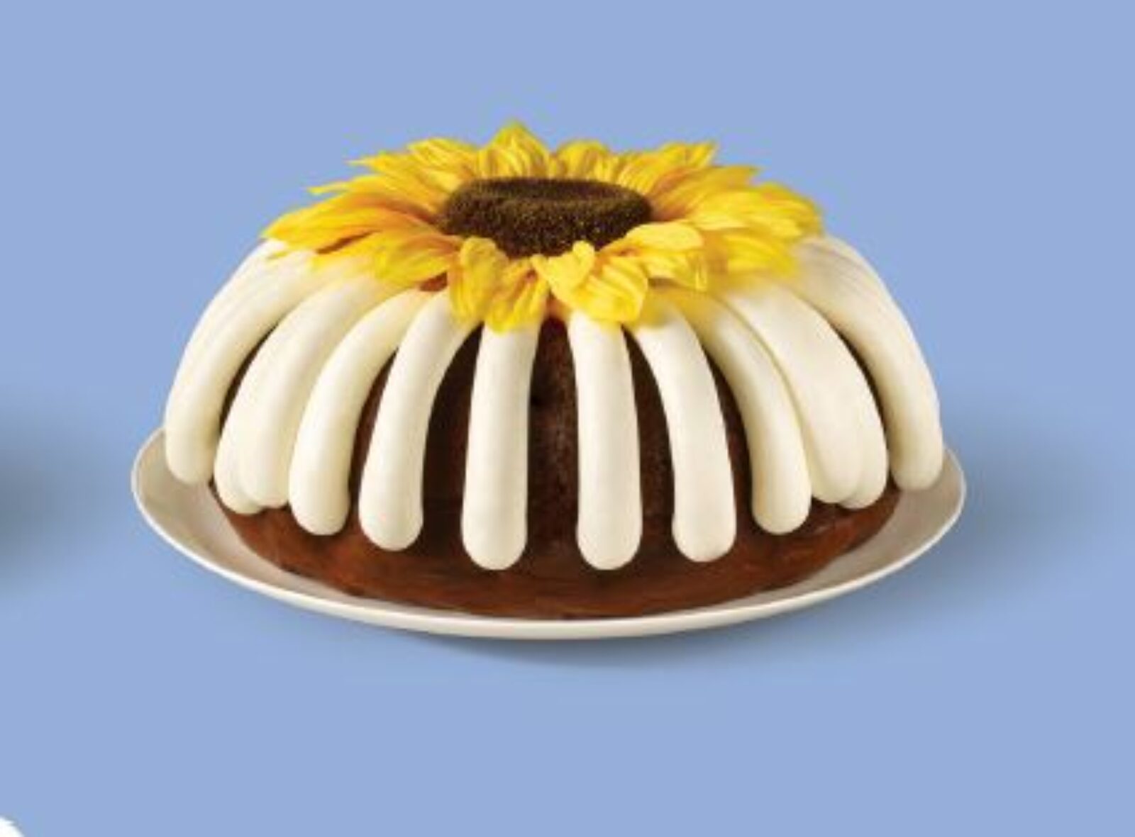 Nothing Bundt Cakes for Valentine’s Day